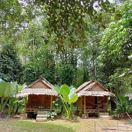 Khao Sok National Park Khai Jungle Experience Camp & Tour 아파트 외부 사진