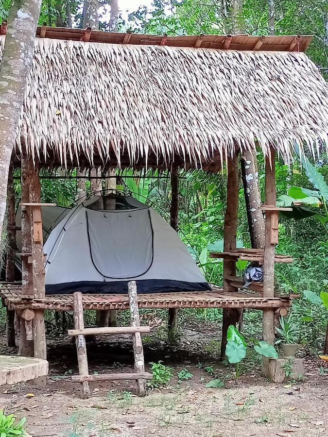 Khao Sok National Park Khai Jungle Experience Camp & Tour 아파트 외부 사진