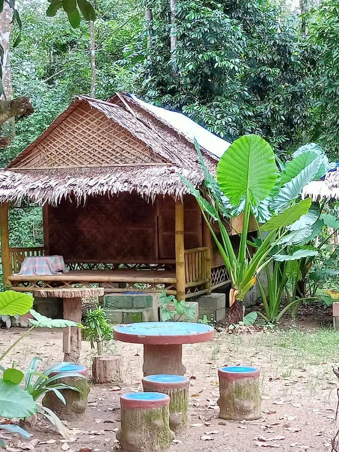 Khao Sok National Park Khai Jungle Experience Camp & Tour 아파트 외부 사진
