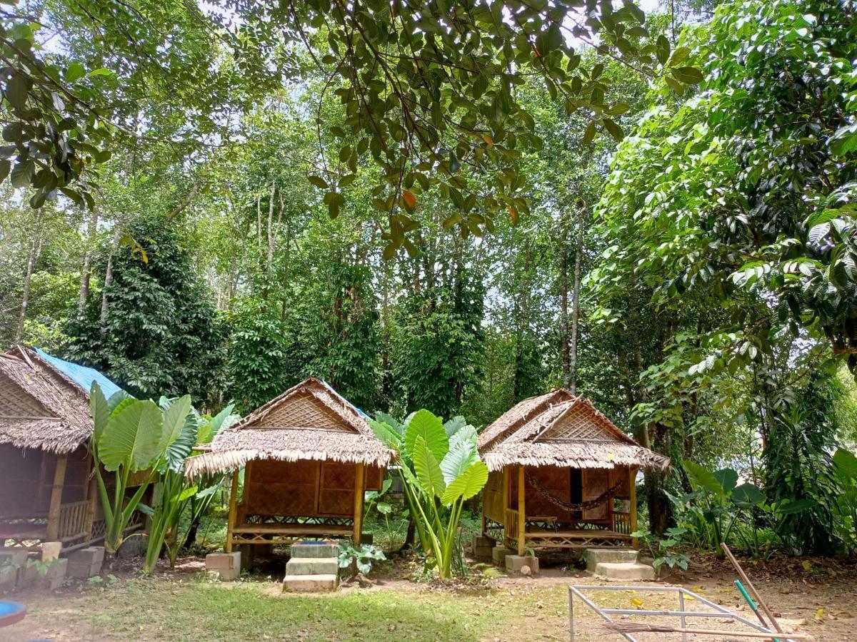 Khao Sok National Park Khai Jungle Experience Camp & Tour 아파트 외부 사진