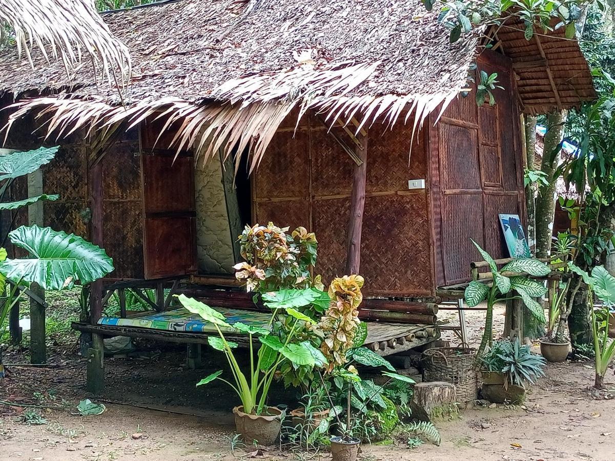 Khao Sok National Park Khai Jungle Experience Camp & Tour 아파트 외부 사진