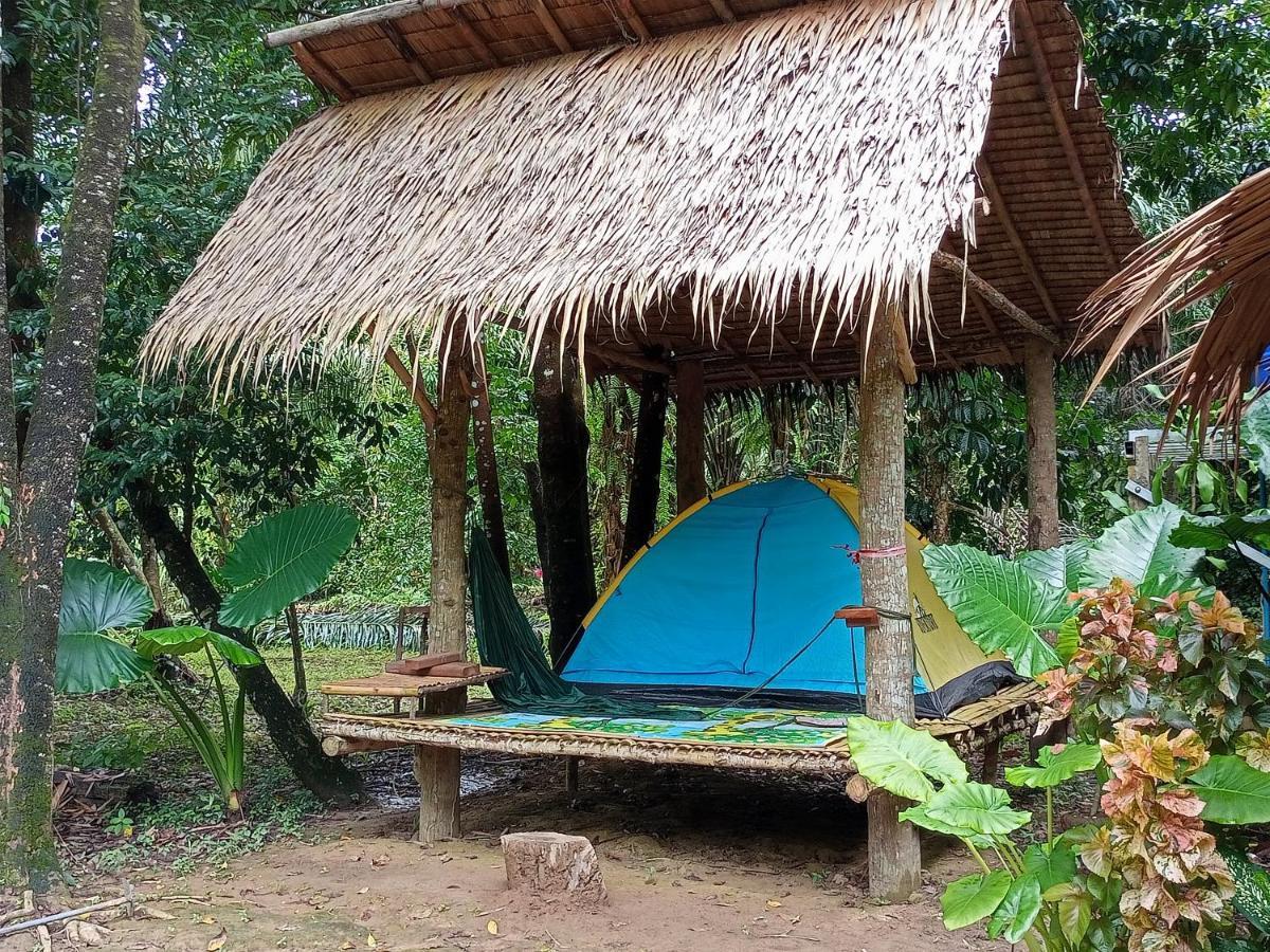 Khao Sok National Park Khai Jungle Experience Camp & Tour 아파트 외부 사진
