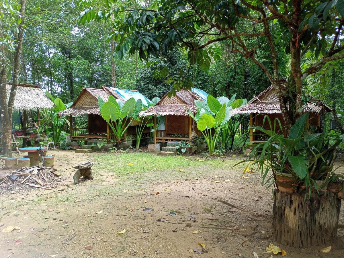 Khao Sok National Park Khai Jungle Experience Camp & Tour 아파트 외부 사진