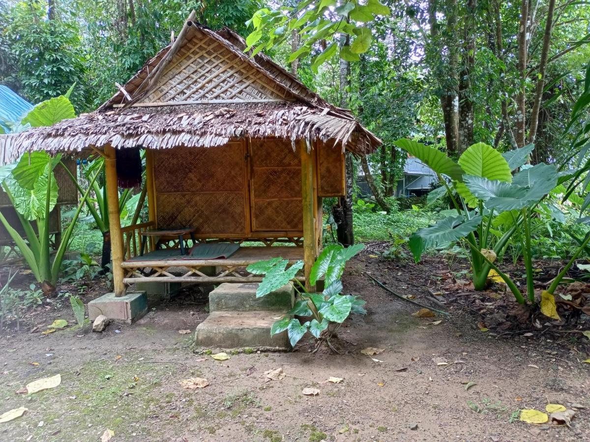 Khao Sok National Park Khai Jungle Experience Camp & Tour 아파트 외부 사진